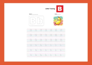 Alphabet B Tracing Worksheet for Practice