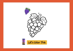 Grapes Coloring Pages for Practice for Kids